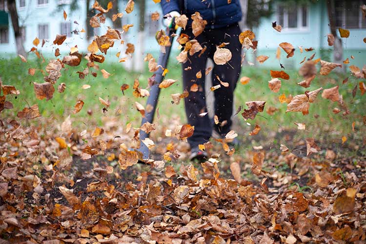 Should My Lawn Care Company Discount Fall Clean-Ups?