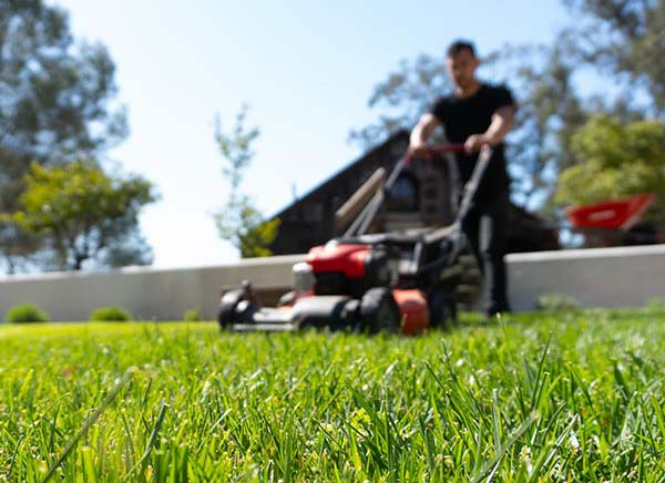 landscape worker on a tiny lot