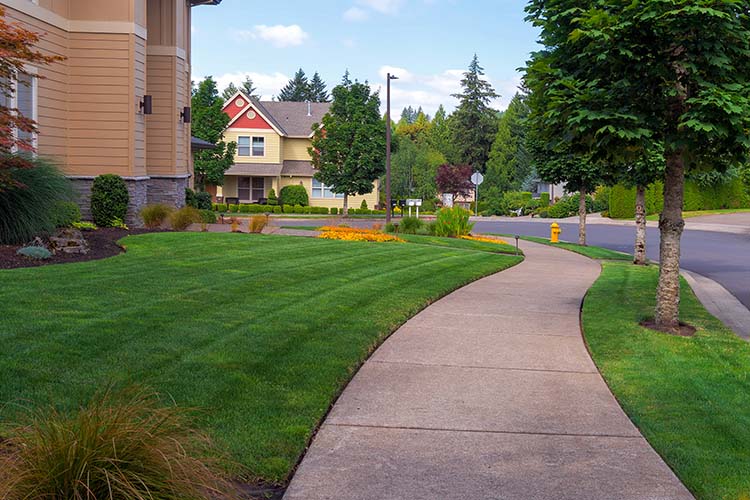 3 Things to Remember Before Offering a Lawn Care Discount
