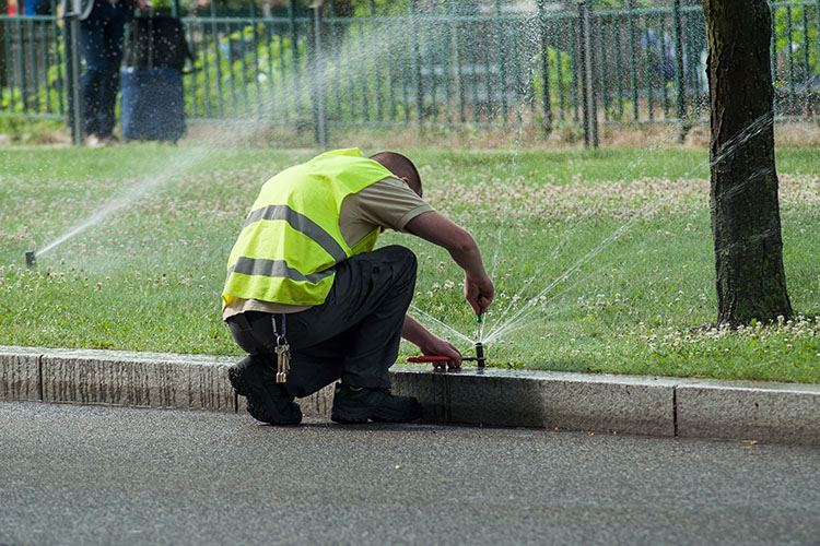 lawn care employees