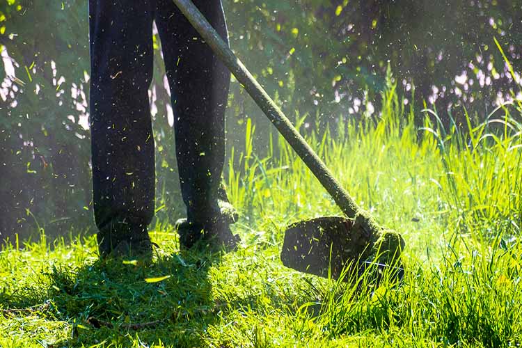 4 Facts About Your Lawn Care Business Operating Cost