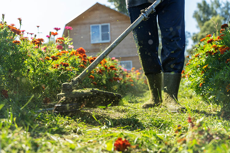 A Handy Lawn Maintenance Equipment Guide