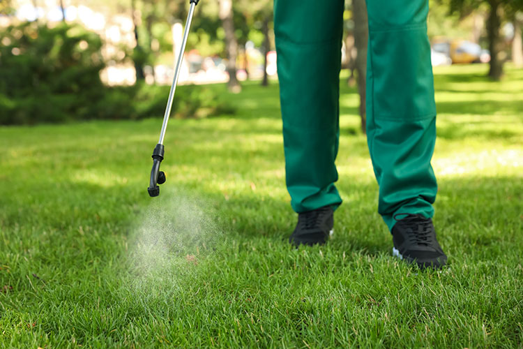 A Few Undeniably Good Reasons to Start a Lawn Maintenance Business