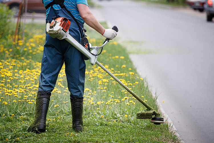 lawn maintenance worker